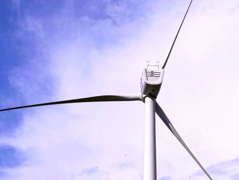 Power Generation and Transmission Industry Surveys